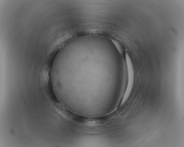 X0000113050746200909101938