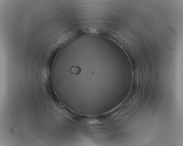 X0000113050747200909101938