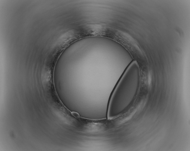 X0000113050748200909101938