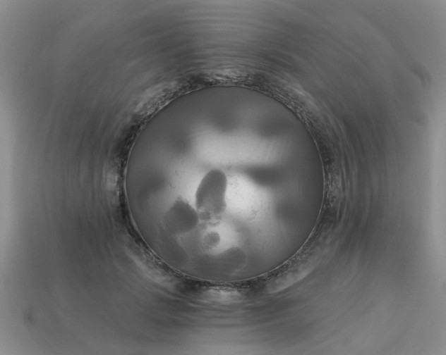 X0000113050749200909101938