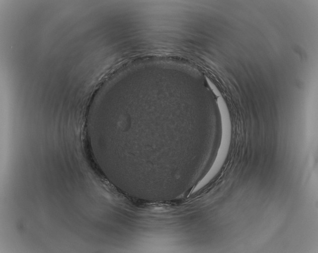 X0000113050750200909101938