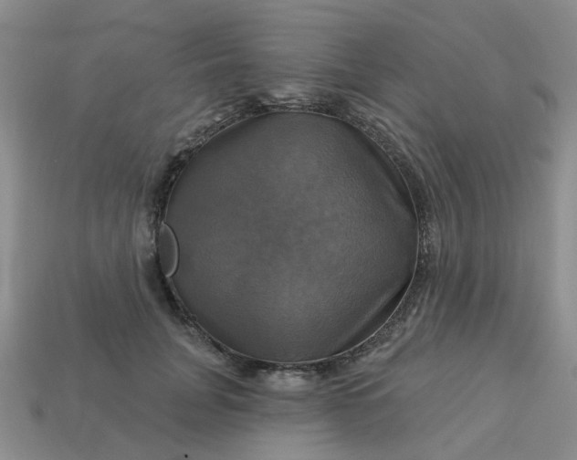 X0000113050751200909101938