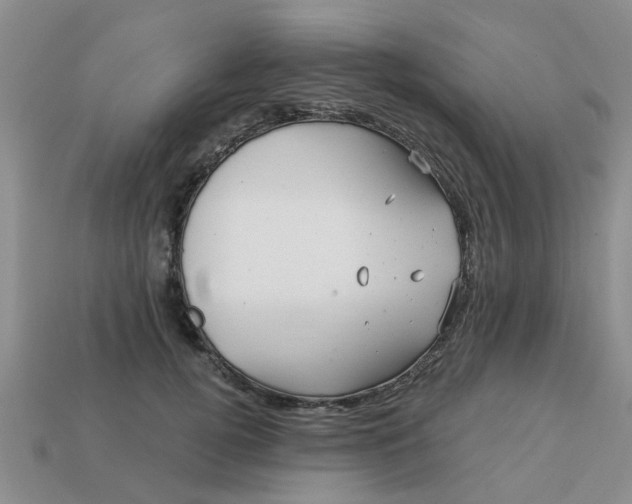 X0000113050752200909101938