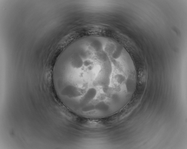 X0000113050753200909101939