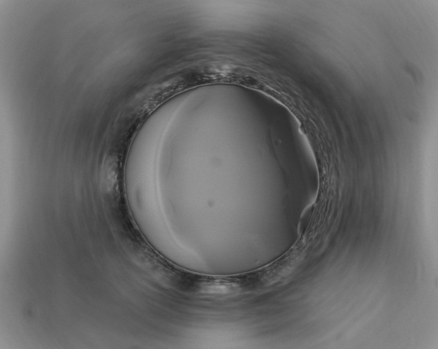 X0000113050754200909101939