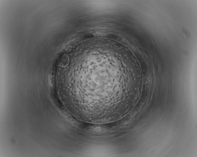 X0000113050755200909101939