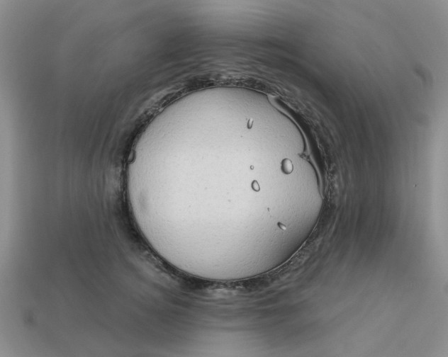 X0000113050756200909101939