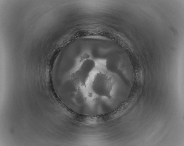 X0000113050757200909101939