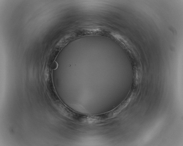 X0000113050758200909101939