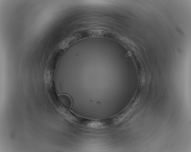 X0000113050759200909101939