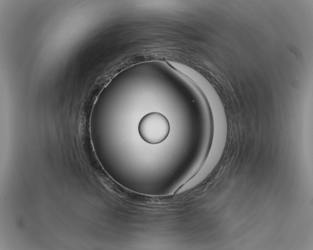 X0000113050760200909101939