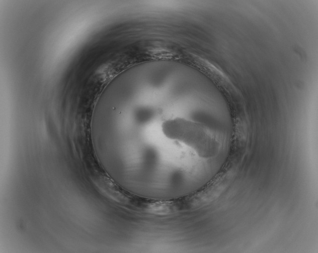 X0000113050761200909101939