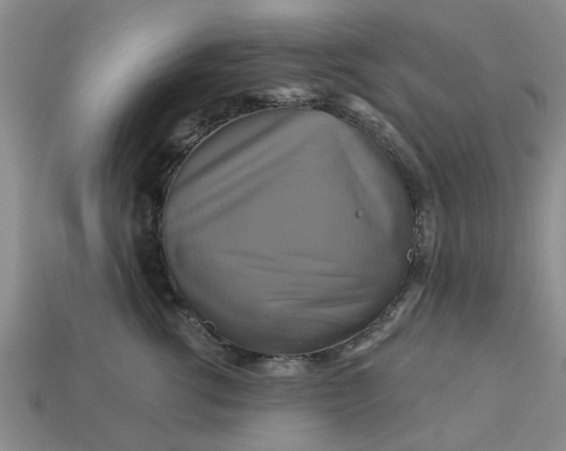 X0000113050762200909101939