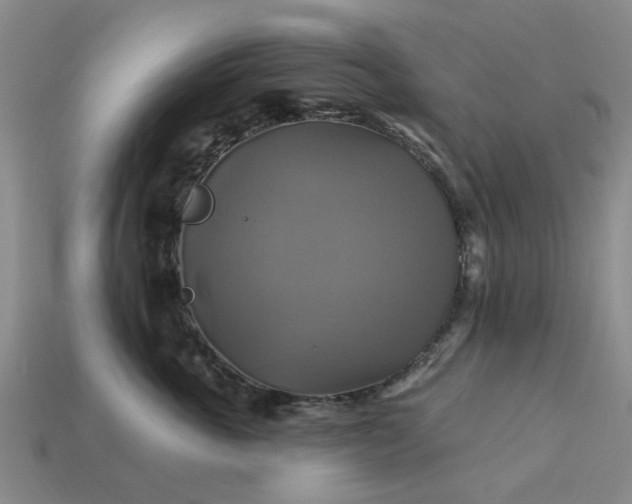 X0000113050763200909101939