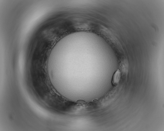 X0000113050764200909101939