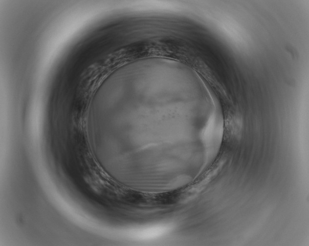 X0000113050765200909101939