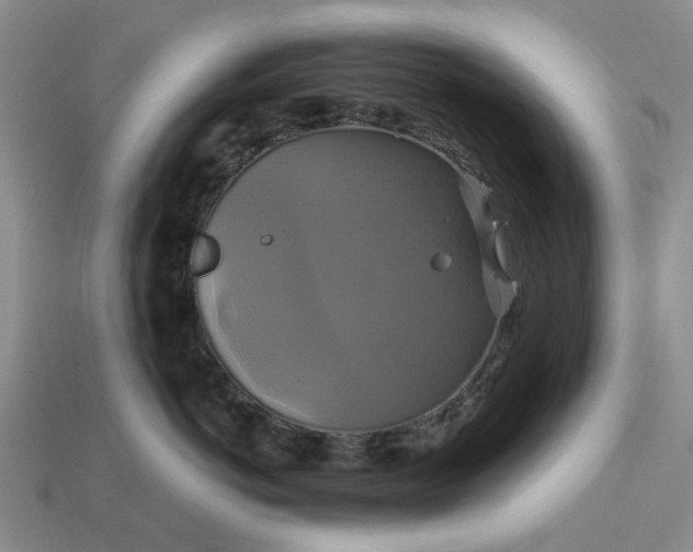 X0000113050766200909101939