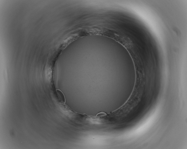 X0000113050767200909101939