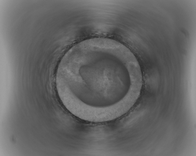 X0000113050769200909101938