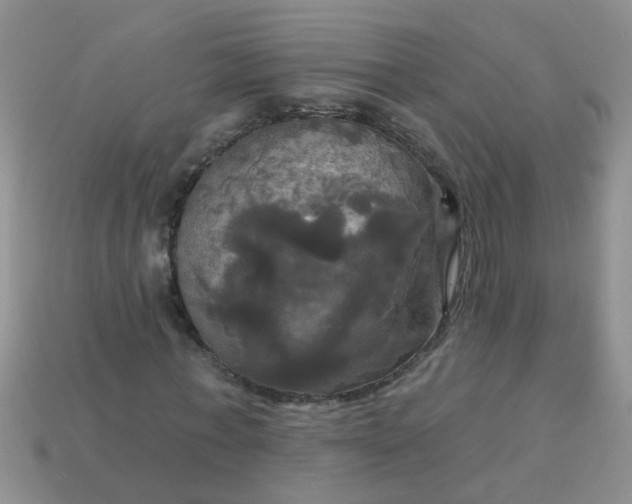 X0000113050771200909101938