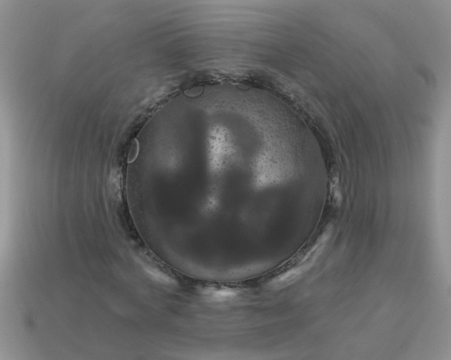 X0000113050772200909101938