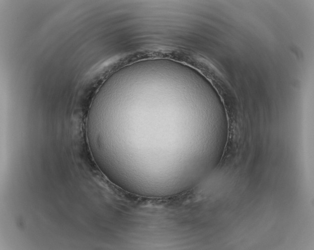 X0000113050773200909101938