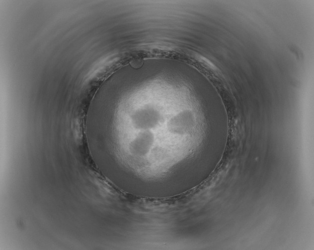 X0000113050774200909101938