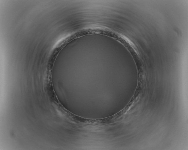 X0000113050775200909101938