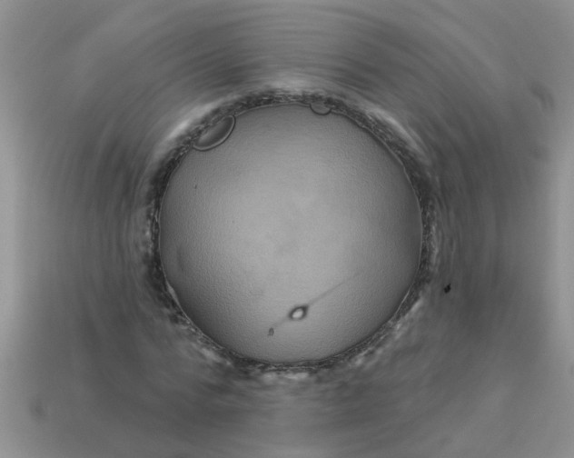 X0000113050776200909101938