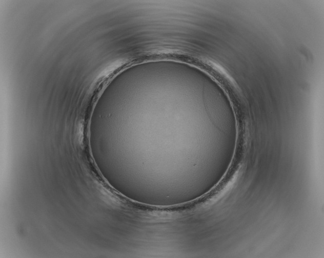 X0000113050777200909101938