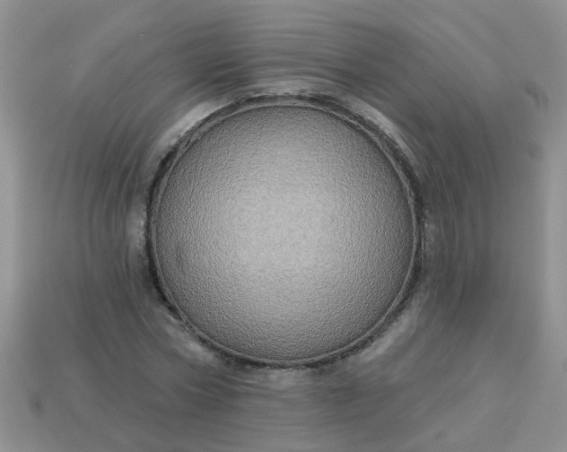 X0000113050778200909101938