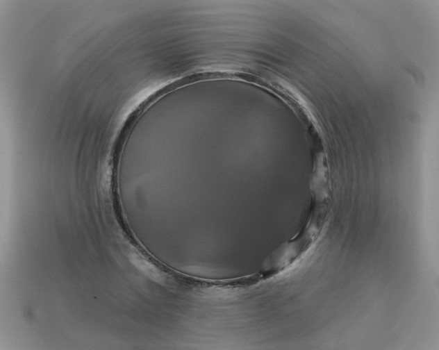 X0000113050779200909101938