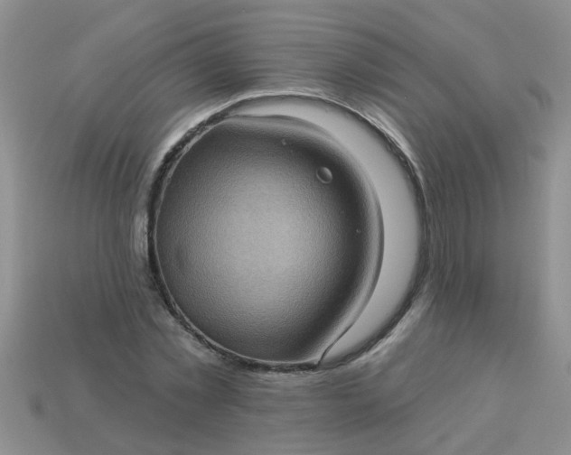 X0000113050781200909101938