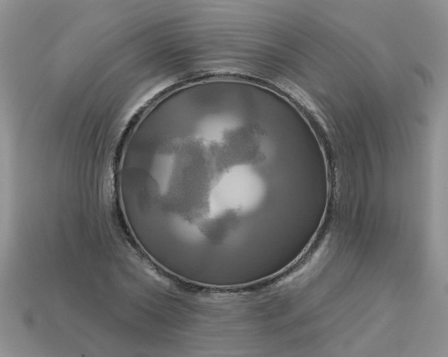 X0000113050782200909101938