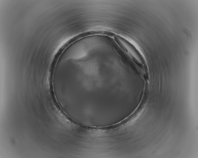 X0000113050783200909101938