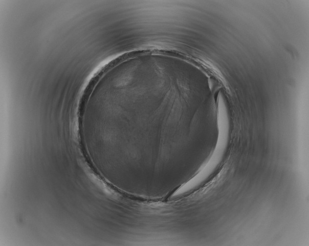 X0000113050784200909101938