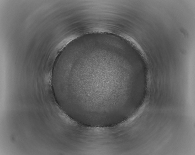 X0000113050785200909101938