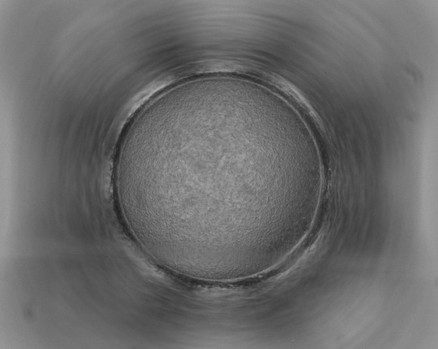 X0000113050786200909101938