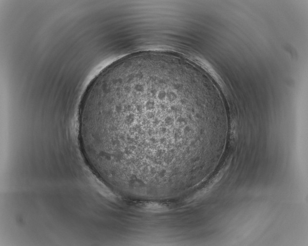 X0000113050787200909101938