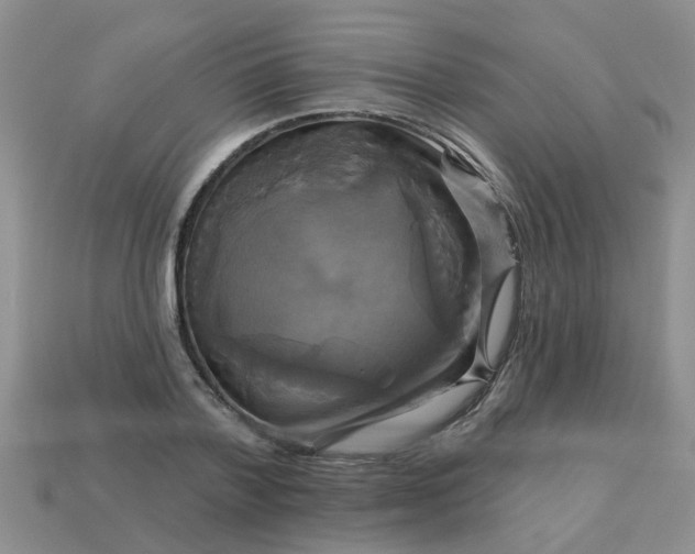 X0000113050788200909101938