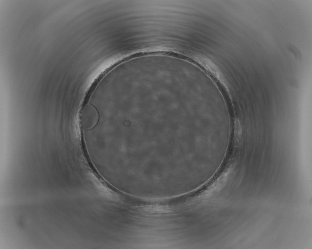 X0000113050789200909101938