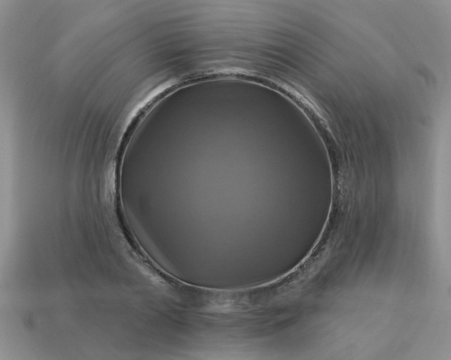 X0000113050790200909101938