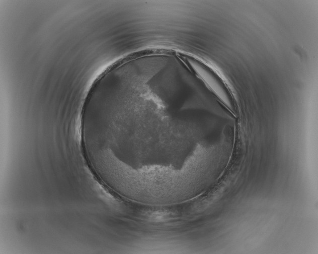 X0000113050791200909101938