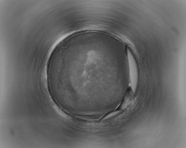 X0000113050792200909101938