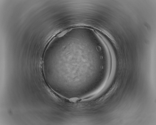 X0000113050793200909101938