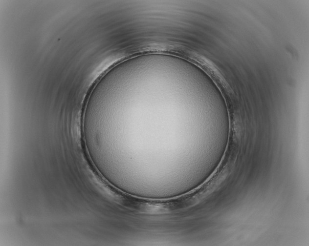 X0000113050794200909101938