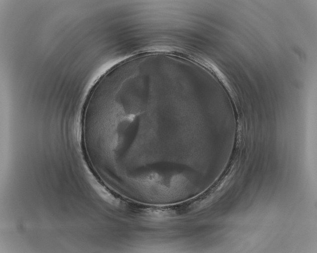 X0000113050795200909101938