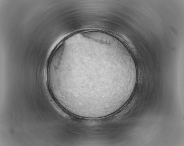 X0000113050796200909101938