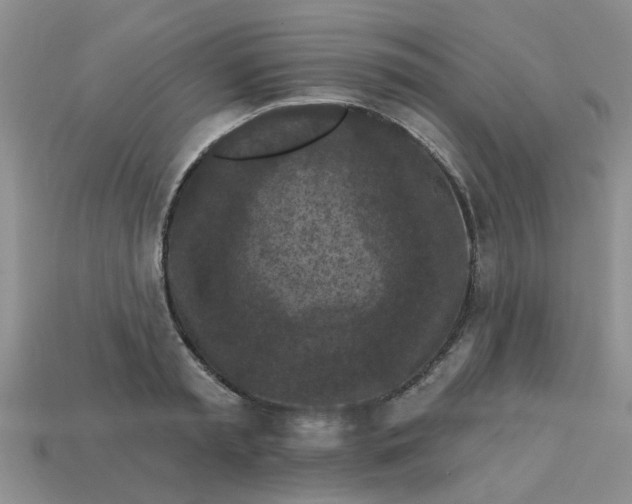 X0000113050797200909101938