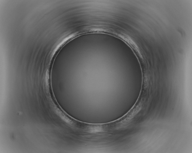 X0000113050798200909101938